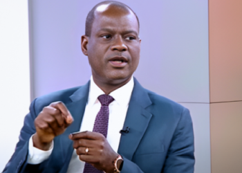 ‘Nothing To Show For Over 60 Taxes, Levies Collected Across Nigeria’, Oyedele Alleges