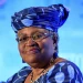 No opposition, as Okonjo-Iweala seeks second term at WTO