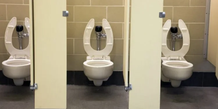 Nigeria needs 11.6m toilets to end open defecation, says minister