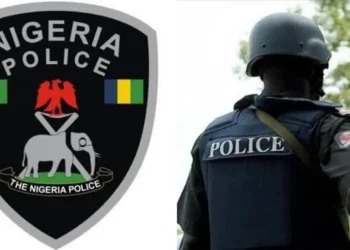 Police arrest 25 year old man for sodomizing 12 children in Jigawa