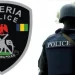 Police arrest 25 year old man for sodomizing 12 children in Jigawa