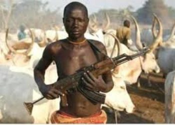 Herdsmen kill 11 in Benue communities, many missing
