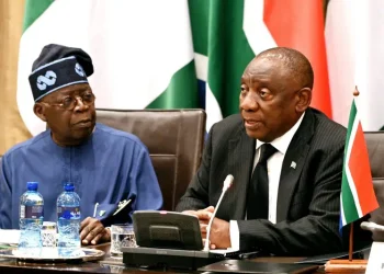 South Africa eyes Nigeria’s lithium for electric vehicles