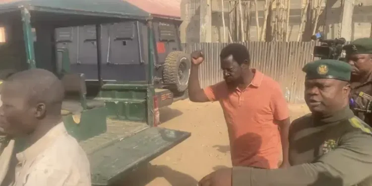 Court grants Dele Farotimi N30m bail