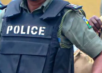 Police arraign man for allegedly stealing pigs in Ekiti