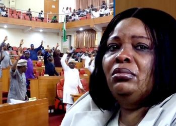 Why DSS was invited to ‘secure’ Lagos Assembly