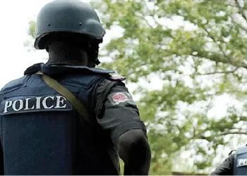 Borno police makes arrests in murder of woman accused of witchcraft