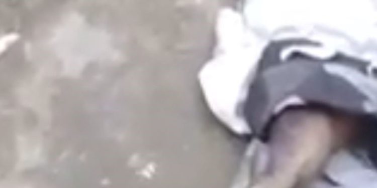 Cultists stone rival member to death in Bayelsa