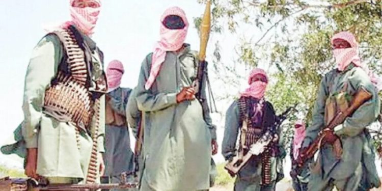 Terrorists abduct six teenage girls in midnight raid on Niger community