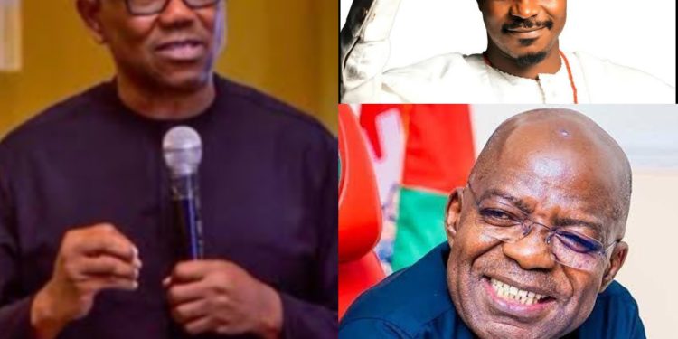 2027: Labour Party To Adopt Peter Obi, Alex Otti And Gbadebo Rhodes -Vivour as Candidates – NWC