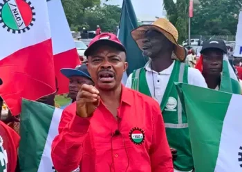 Don’t become undertaker of telecom sector – Telcos warn NLC
