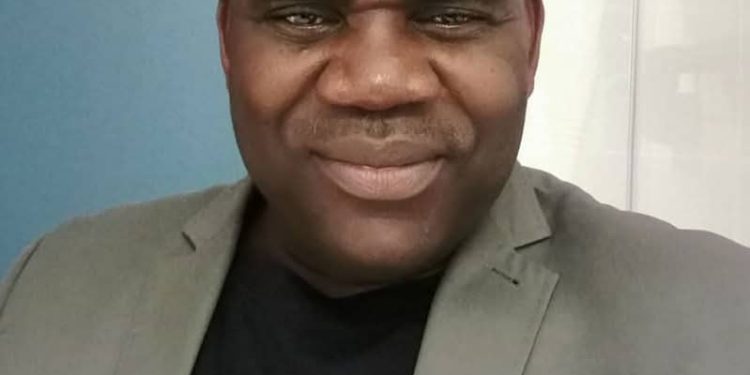 Nigerian Professor In South Africa Urges Diaspora To Support Government In Tackling Security Challenges
