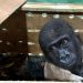 Smuggled gorilla: FG reaffirms commitment to biodiversity conservation