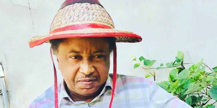 Requesting ‘trillion’ naira to count Nigerians total madness – Shehu Sani knocks NPC