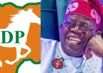 We’re not owned, financed by Tinubu — SDP