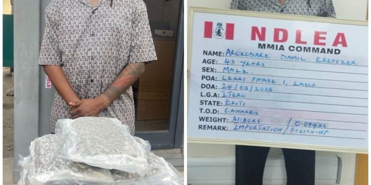 Lekki, Italy based businessmen arrested over illicit drug shipments to Nigeria, Europe