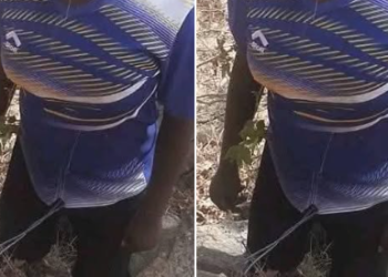 Body of a young woman found hanging from a tree in Gombe community