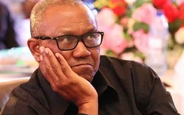 Leaving our party will show you’re an opportunistic politician – LP Chieftain Tells Peter Obi