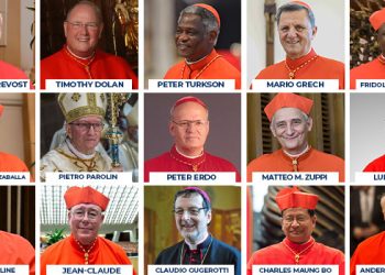 Two African Cardinals, 13 Other Potential Successors To Pope Francis