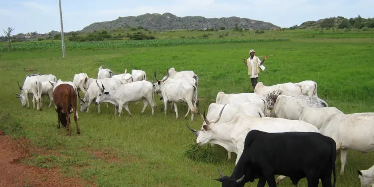 Over 80 communities taken over by Fulani terrorists in Benue, Plateau — Christian group raises alarm