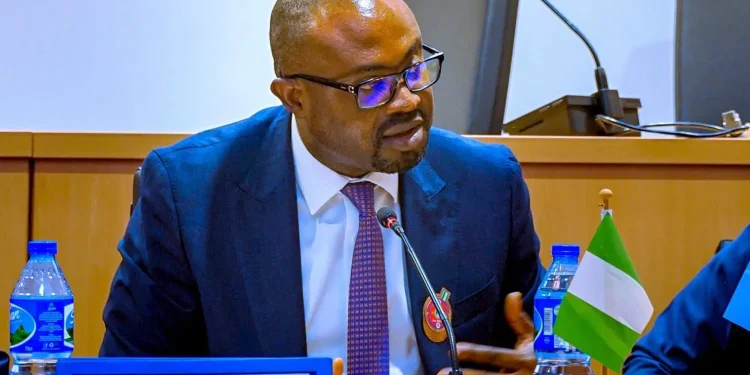 Nigeria won’t approve expatriates’ quota for drivers, waiters again — FG