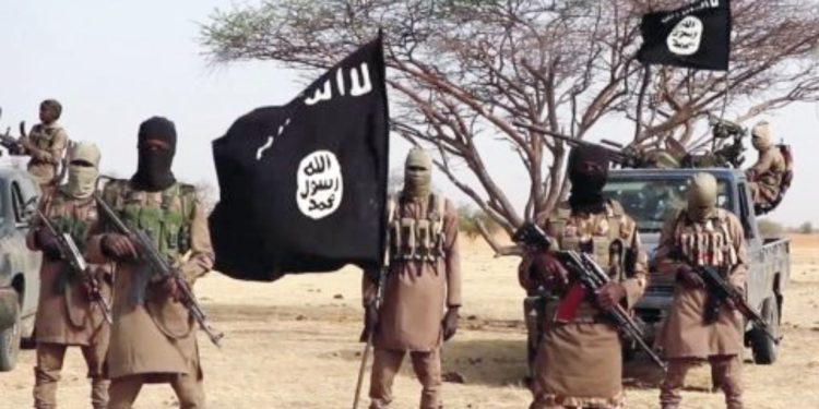 Suspected Boko Haram terrorists kill 10 vigilantes in Kwapre, Adamawa