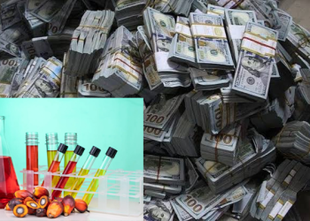 Three judges arrested, detained for accepting bribes in palm oil export case