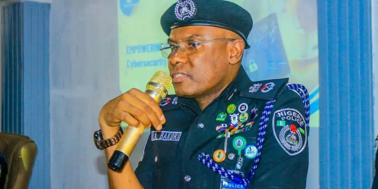 Police arrest man for alleged murder of sister’s boyfriend in Kano 