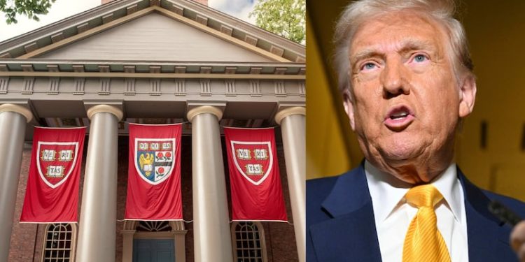 Harvard sues the Trump administration over ban on enrolling foreign students