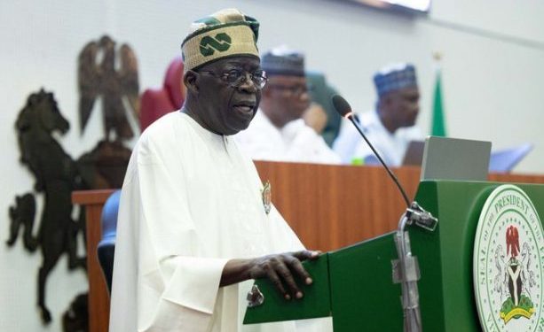 Tinubu vows to reclaim ungoverned areas, secure forests