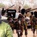 Deradicalisation Of Boko Haram Fighters, Amnesty For Niger Delta Militants Not Same — Ex-NAF Grp Capt