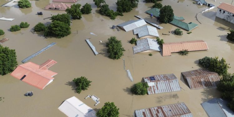Death toll from Niger flood disaster hits 115