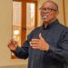 2027: I’m Only Interested In Coalition Against Hunger, Poverty – Peter Obi