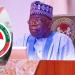 PDP describes Tinubu’s two years administration as a ‘nightmare’