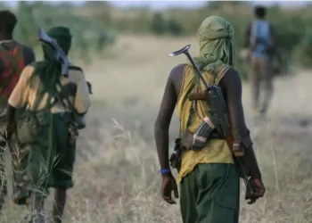 Over 300 suspected gunmen seen heading from Zamfara to Mashegu in Niger
