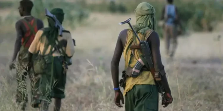 Over 300 suspected gunmen seen heading from Zamfara to Mashegu in Niger