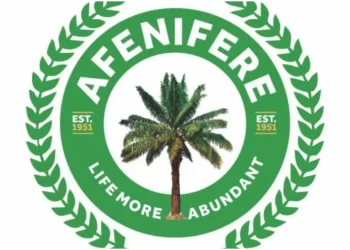 June 12: Nigeria’s democracy work in progress — Afenifere