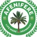 June 12: Nigeria’s democracy work in progress — Afenifere