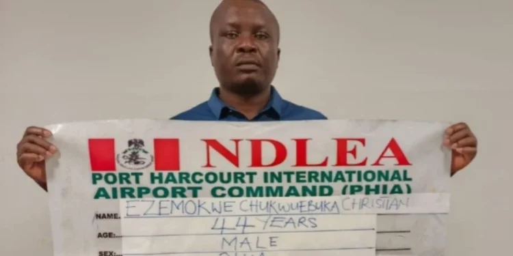 NDLEA arrests Iran-bound businessman for ‘ingesting 53 wraps of cocaine’