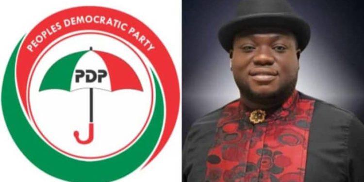 PDP Out Of The Red Lines, NEC Can’t Stop Anyanwu As National Secretary….. Chieftain
