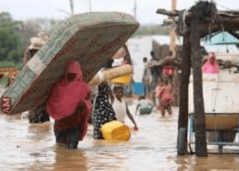Nigeria sees flooding in 80% of states as death toll nears 200