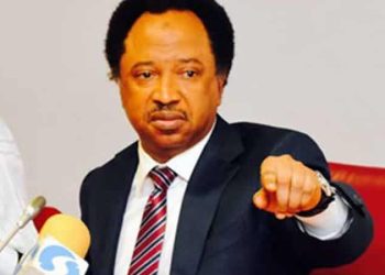 You lack moral ground to criticise Tinubu, Shehu Sani hits back at El-Rufai, Amaechi