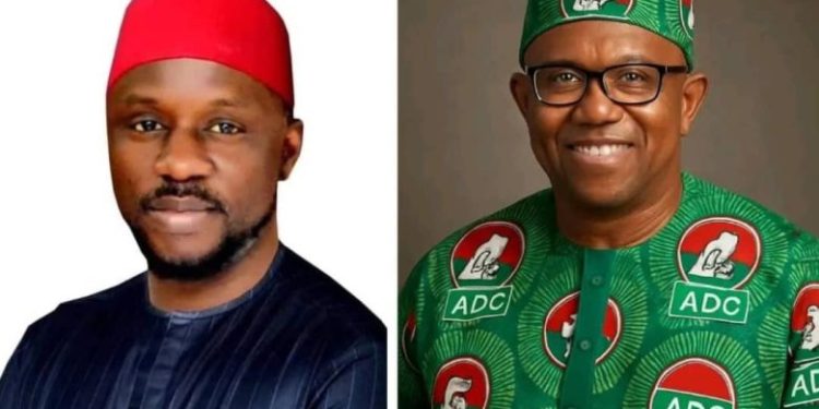 2027: Many Sins of Peter Obi as Labour Party mulls his expulsion