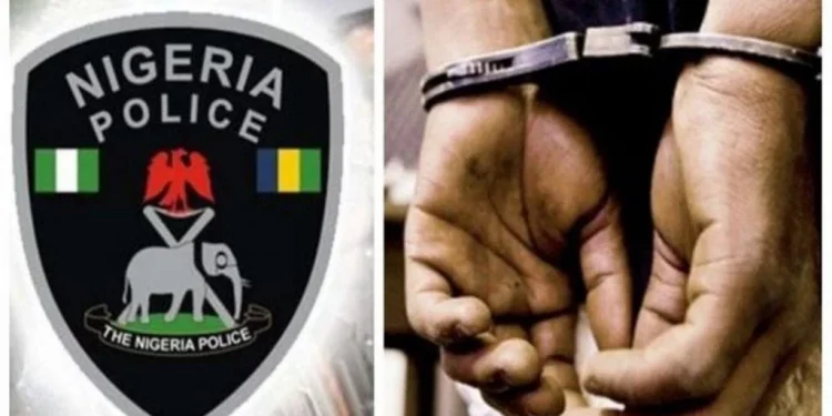 Anambra police arrest man with female breast