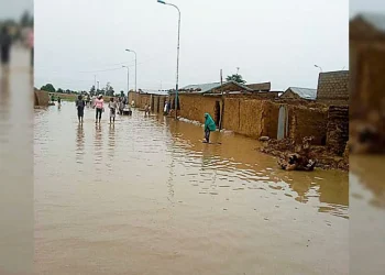 Niger: 207 persons died in Mokwa flood – NSEMA