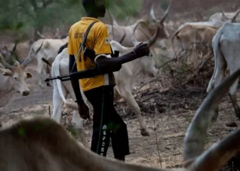 Benue: Suspected herdsmen attack Kadarko, kill ‘Iron Money’, injure policeman