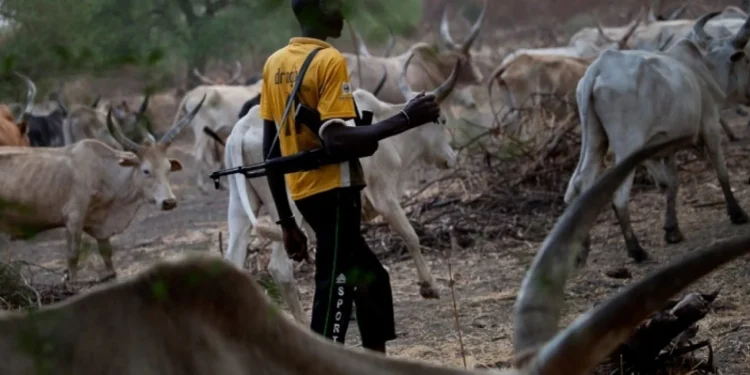 Benue: Suspected herdsmen attack Kadarko, kill ‘Iron Money’, injure policeman