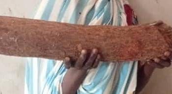 Police arrest woman for beating her husband to death with log of wood during heated argument 