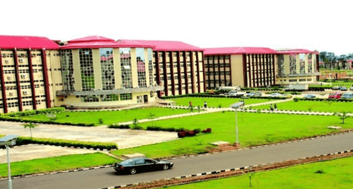 Nigeria’s conversion of polytechnics to varsities a dangerous trend- Experts