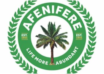 Afenifere elated as United Nations declare July 7 ‘World Amotekun Day’